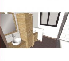 La salle de bain, le choix des revetements de sols et de murs, pas du tout arrêtés