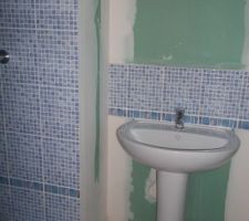 Salle de douche avec carrelage casto