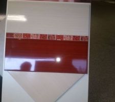 Choix fa&iuml;ence SDE parentale