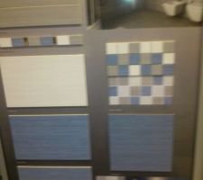 Choix fa&iuml;ence salle de bain