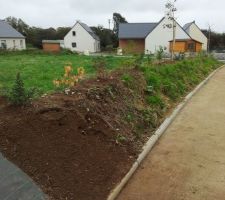 Des arbustes ont &eacute;t&eacute; plant&eacute;s sur le talus