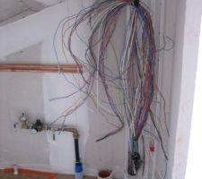 Une chevelure de fil electrique