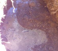 On voit pourquoi la cunette doit être étanche, et on est qu' a 2m (pelleteuse trop courte du bras, 3m qu'il avait dit le loueur...)La tranché s'effondre partiellement comme en 2007.