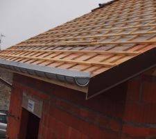 RATTRAPE GOUTE NIVEAU GOUTIERE PROTECTION PLANCHE RIVE NIVEAU GOUTIERE