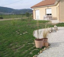 Plantation d'arbustes  ....kerria , pommier fleurs , et arbres a bonbons  !!