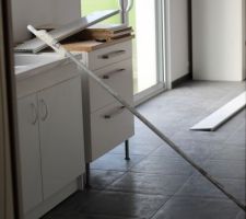 La perche avec le pinceau au bout !