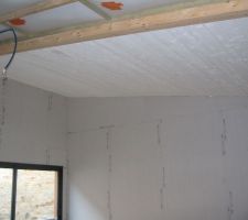 Le démarage du plafond en lambris brut de sciage qui demare