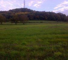 La vue qu'on devrais avoir depuis notre future terrasse!