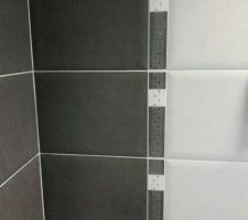 Fa&iuml;ence SDB (effet "capitonn&eacute;", qui ne se voit pas forc&eacute;ment sur la photo)