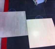Gré cérame pleine masse 60x60, choix fait sur le gris clair mais probablement en 120x60..à voir!
