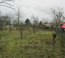 Un terrain de bourg (ancien verger) en guise de terrain constructible