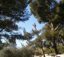 Ont commencent a voir plus clair