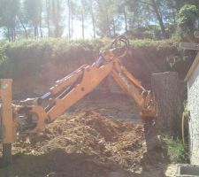 Arrachement des souches des 11 pins