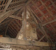 La chemin&eacute;e avant demolition