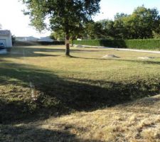 Le terrain avec notre ch&ecirc;ne.