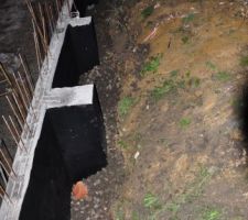 Vue depuis la maison.