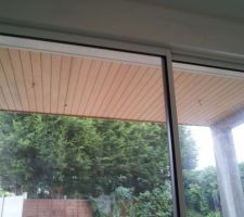 20121029 - Sous-face