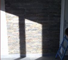 Parement Pierre naturelle