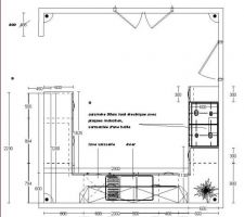 Nouvelle cuisine suite aux remarques constructives du constructeur... On rapproche le point eau du plan cuisson!