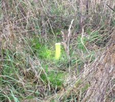 Les 4 piquets mis en place pour d&eacute;limiter les fondations