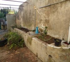 Débroussaillage du côté droit de notre terrasse.
Nous souhaitons avoir un brin de jardin sympathique durant nos travaux intérieurs.
La terrasse fait 4,50 m X 12 m.
sous le broc bleu se trouve une réserve d'eau récupérée par temps de pluie.