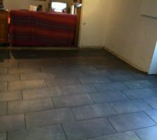 Carrelage c&ocirc;t&eacute; salle &agrave; manger