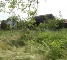 Dossier ralenti par les m&eacute;contentements avoisinant... pour ne pas incriminer quiconque...