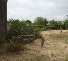 Remarquez, c'est quand m&ecirc;me sa profession au frangin... mais l'est costaud quand m&ecirc;me ;-)