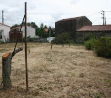 Il m'a dit "t'emb&ecirc;te pas pour les souches, vont tout raser... l&agrave;, c'est pour &eacute;viter les plaintes et pour me faire la main"... costaud et cogito le frangin...