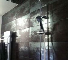 Douche a l'italienne
