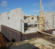 Les murs avancent bien, nous avons commencer &agrave; poser le delta