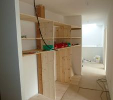 Placard en sapin massif