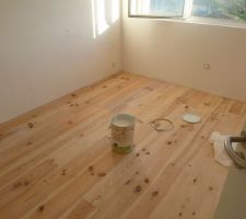 Parquet en sapin massif et protection avec une huile dure &agrave; l'eau et soja