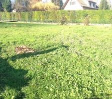 Juste après l'étude de sol