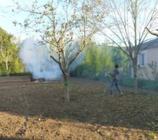 Il n'a pas perdu de temps pour s' approprier les arbres