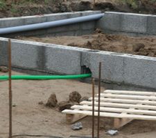 Parmi les rouges et les gris... ben un p'tit vert