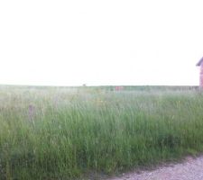 Vu de la route cot&eacute; gauche