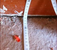 8.24m, c'est bien &ccedil;a !