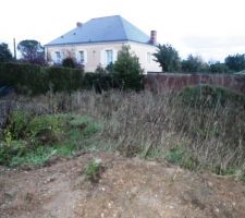 Vue sur le mur du fond du terrain et la haie du voisin côté gauche.