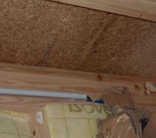 Le mfp, trempé...bientôt il sera couvert de moisi, comme de nombreux autres panneaux du toit du garage