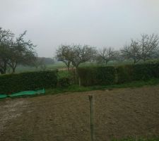 Premi&egrave;re visite du terrain