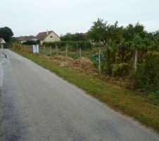 Le terrain apr&egrave;s cet &eacute;t&eacute; et quelques travaux