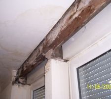 Bureau: démarrage des travaux d'isolation.