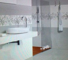 Faiences salle de bains baignoire