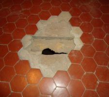 Solives d&eacute;vor&eacute;es par les capricornes sous les tomettes