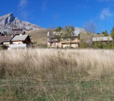 Vue depuis le bas du terrain, qui s'arrete aux arbres en face du chalet, ce sera la vue du salon/ salle de bain