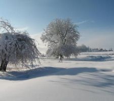 Sous la neige !