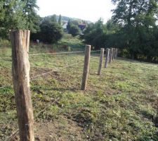 Delimitation du terrain!