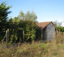 Terrain vierge avant destruction cabanon 4