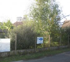 Terrain vierge avant destruction cabanon 1